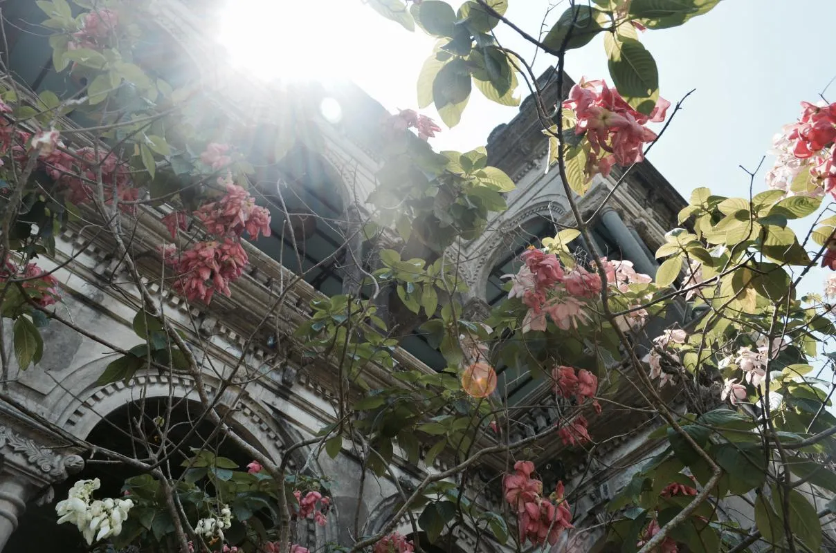 Tree with flowers